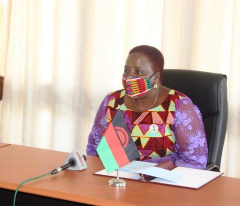 GOVERNMENT BAN TRAVEL ON COVID 19 WORST HIT COUNTRIES INCLUDING INDIA