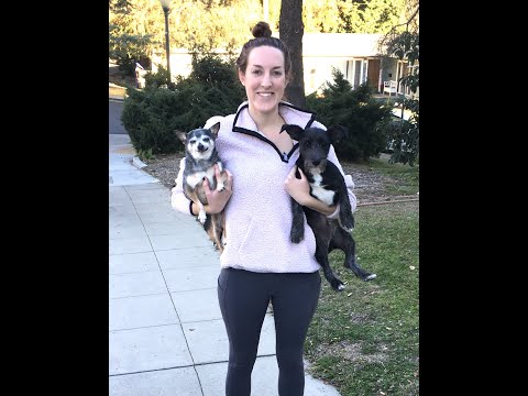 Lady Killed When Man Landed on Her After Jumping From Building