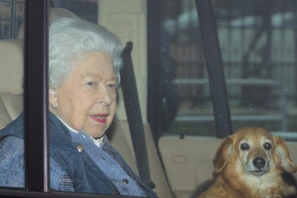 Queen Elizabeth Left ‘Devastated After Death Of Five-Month-Old Puppy