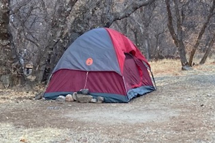 Woman Declared Missing in Canyon 6 Months Ago Found Living in Tent on Diet of Grass and Moss