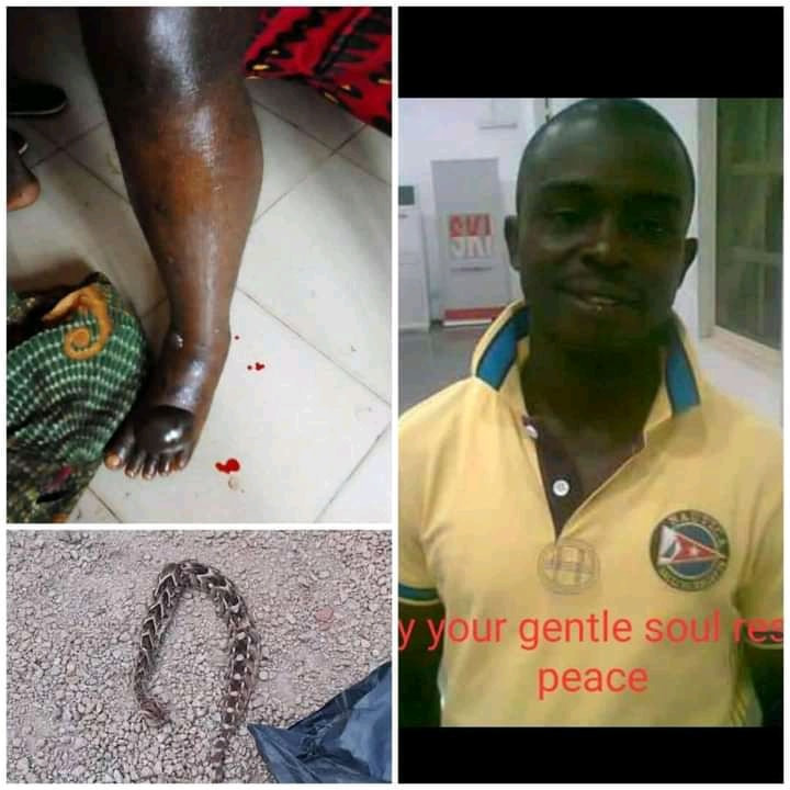 Nigerian Man Dies After He Was Bitten By A Snake Allegedly ‘Sent’ By Unknown Person