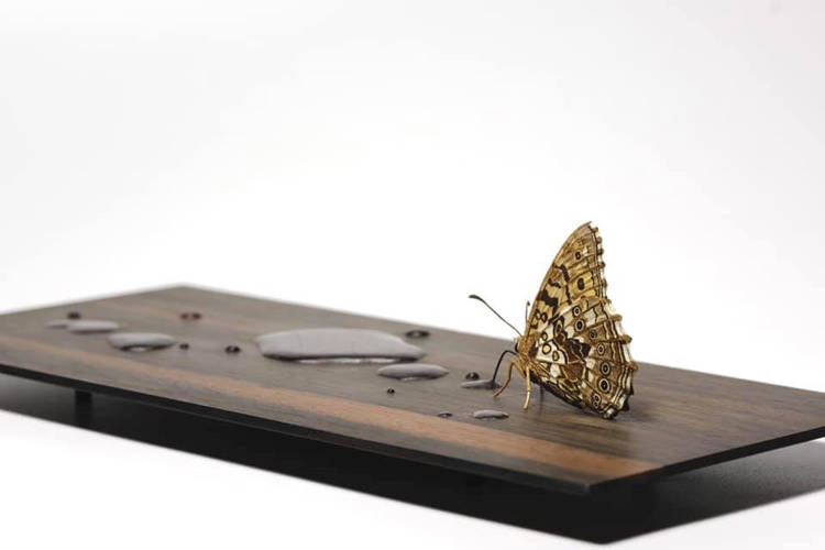 Woodworker Creates the Most Amazing Wood Sculptures You’ll Ever See