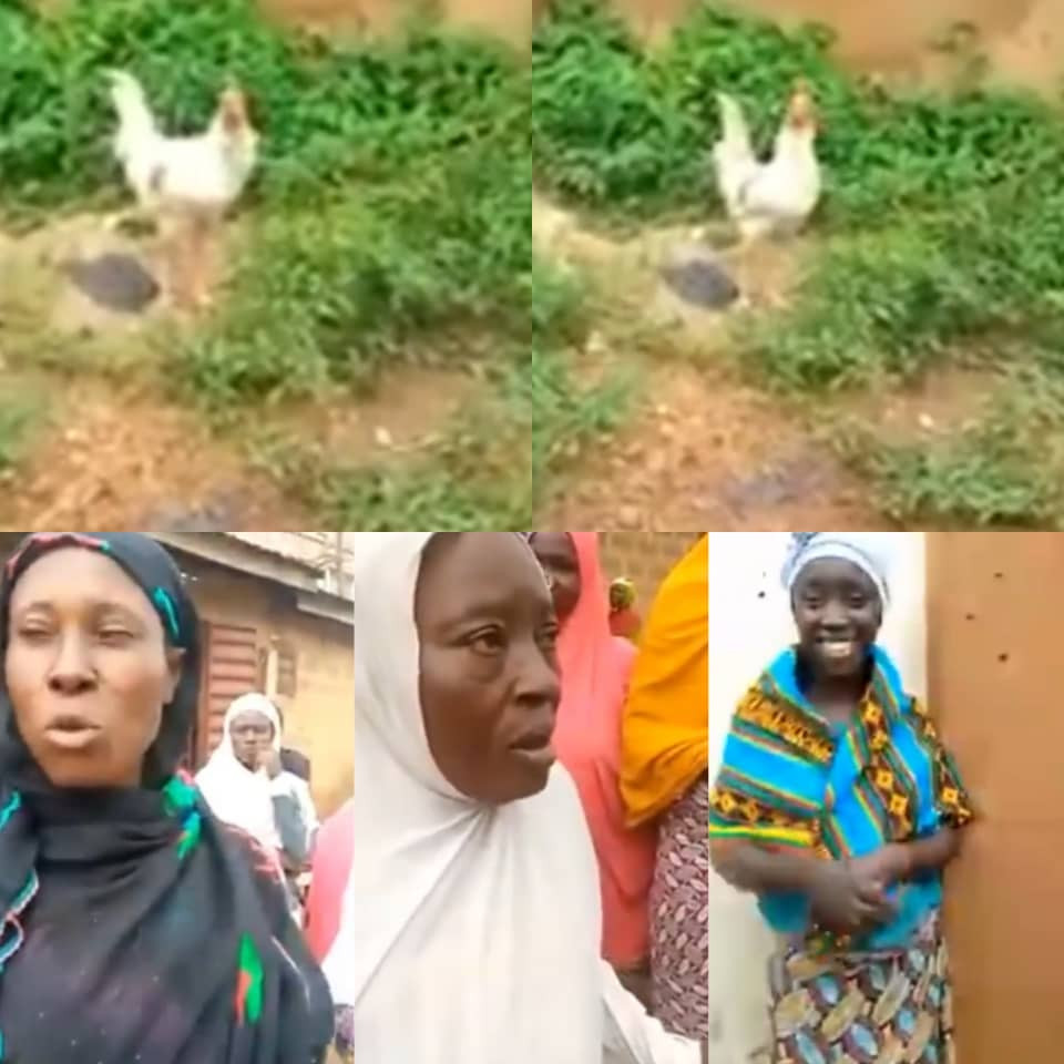 Drama As Nigerian Residents Claim They Spotted A Chicken Shouting ”God Have Mercy” [Video]