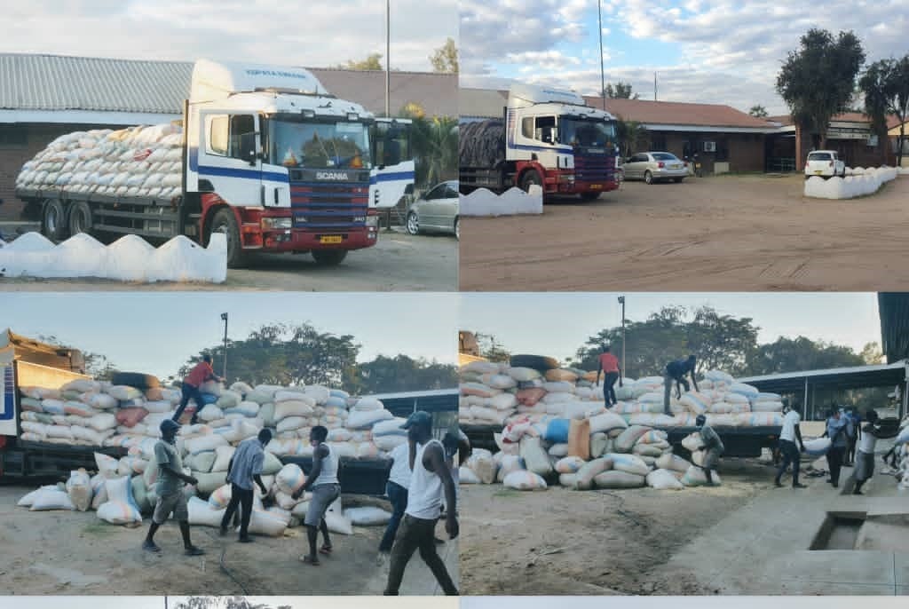 Court forfeits 400 Bags of Maize to Mangochi District Hospital