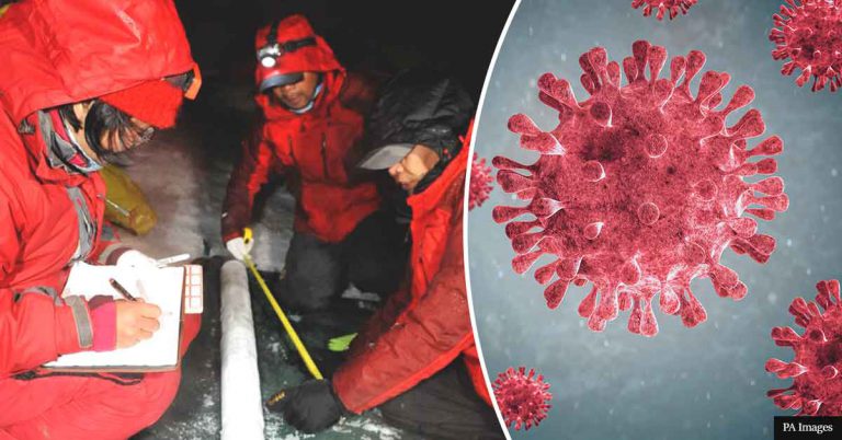 Scientists Discover Almost 30 Unknown Viruses Frozen In Ice