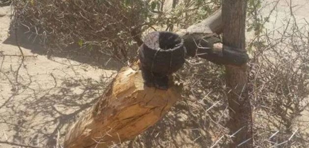 Couple Forces Son To Chew Off His Mother’s Finger And Swallow It As Part Of Money Spinning Rituals