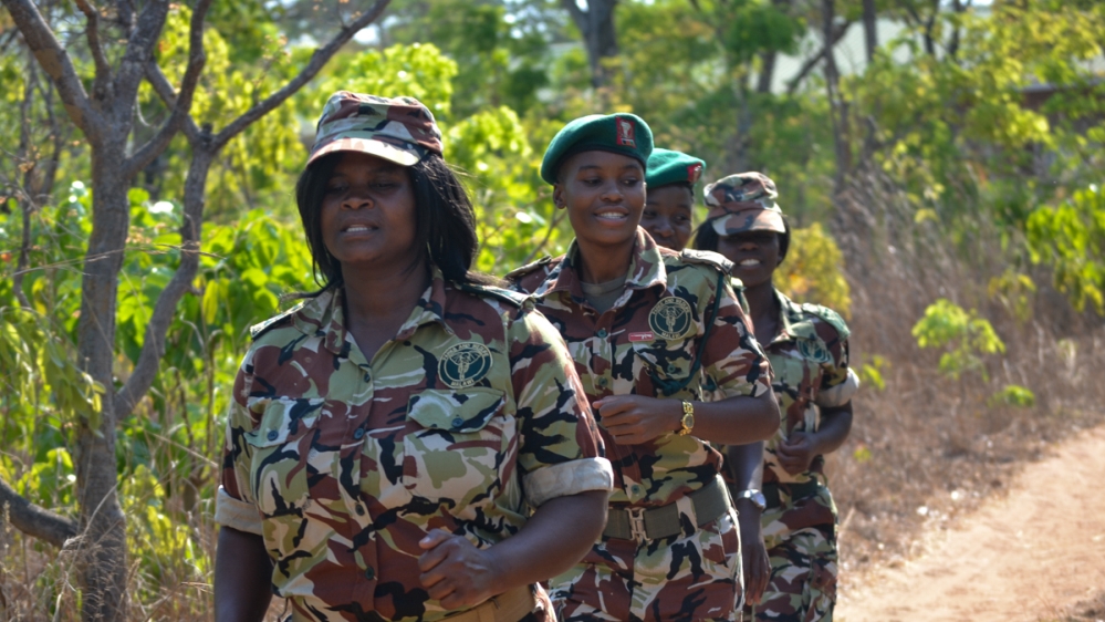 Government To Recruit Forestry Rangers, Assistants
