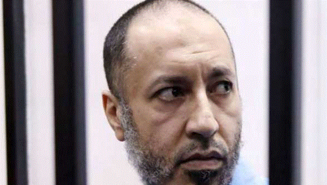 Libya frees Gaddafi’s son from jail