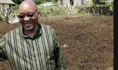 Incarcerated Zuma Back Home In Nkandla