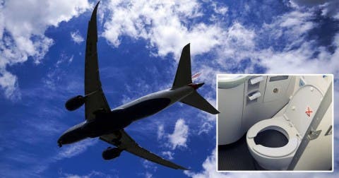 Flying Plane Drops Human Poo On Man Sitting In His Garden