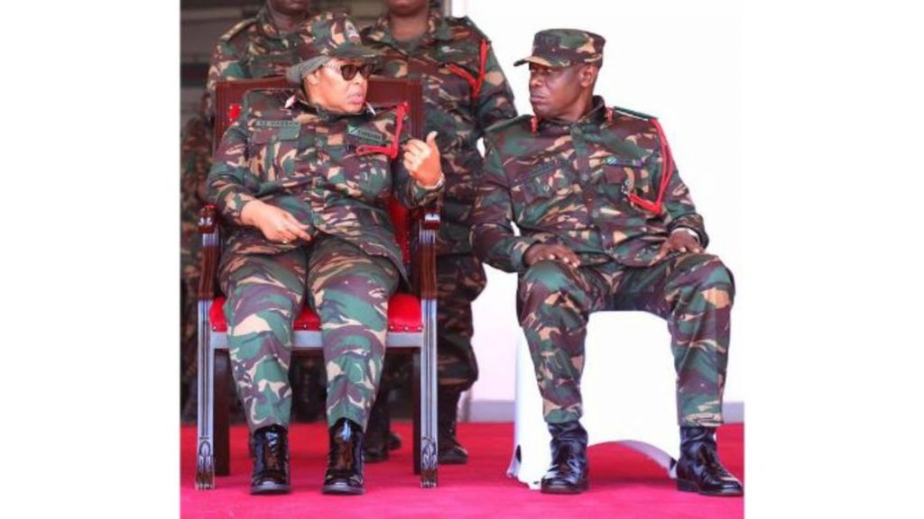 Tanzania pledges to standby Mozambique in the fight against terrorism