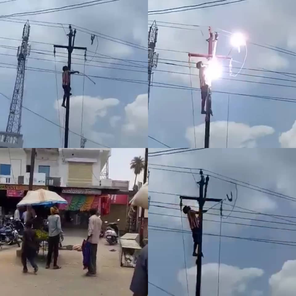 Watch| Man electrocuted while trying to save a bird trapped on a high tension wire