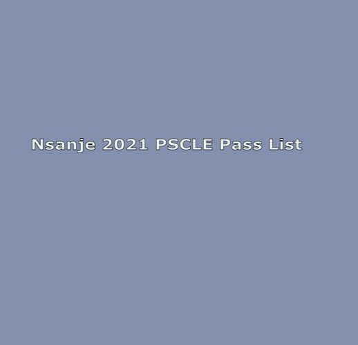 2021 PSLCE RESULTS: PASS LIST FOR NSANJE