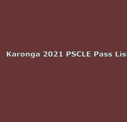 2021 PSCLE Results: Pass List for Karonga District