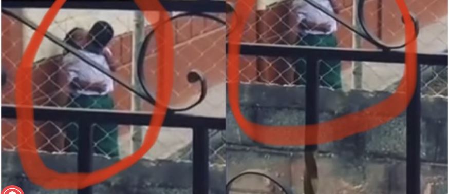 Nursery kids filmed kissing and caressing each other behind classroom (Watch Video)