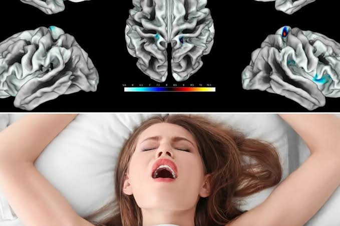Women who have more s3x ‘have better developed brains’