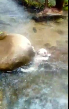 Woman dumps newly born baby in Muloza River