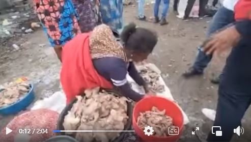 Chinese Poultry Farmers Busted For Selling Diseased Chickens In Zambia