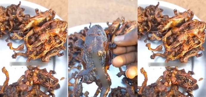 Video Of Young Girl Selling Roasted Frogs Shakes The Internet (Watch)
