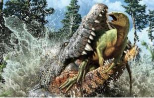 Giant Crocodile Discovered With Baby Dinosaur Still In Its Stomach