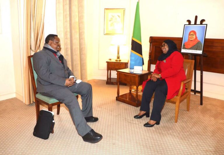 Tanzania President Samia holds face-to-face talks with opposition leader Tundu Lissu in Brussels