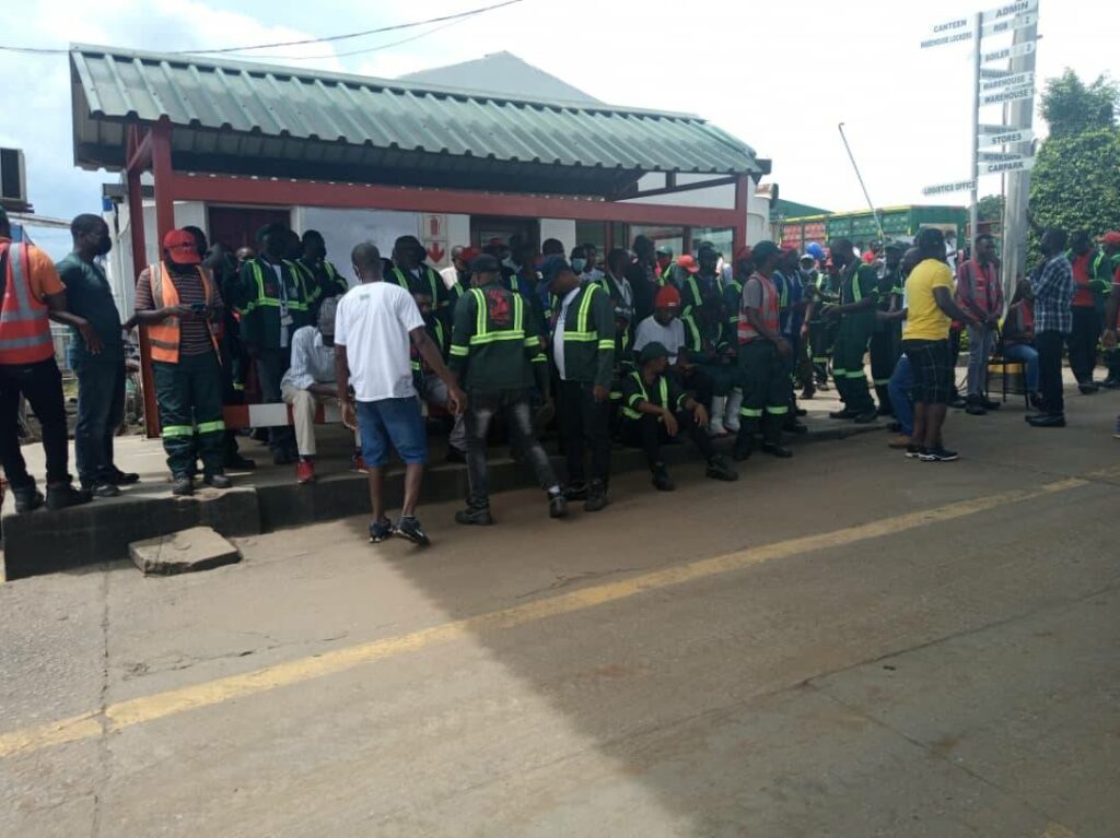 Castel Malawi Lilongwe plant employees on rampage