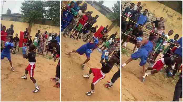 Watch| Young girl beats boy silly in boxing game, Video goes viral