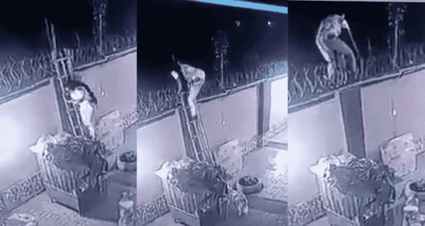 Watch CCTV footage Man Shared of His Wife Scaling Wall To Go See Her Boyfriend