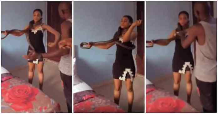 Watch|| Actress cries out at movie shoot as big snake moves on her neck