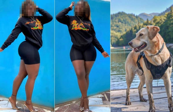 WATCH| Full Story Of Nigerian Girl Sleeping With A Dog In Lagos For 5Million Per Night