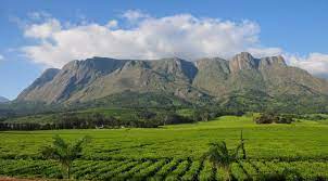 Did you know?  Mulanje Mountain History