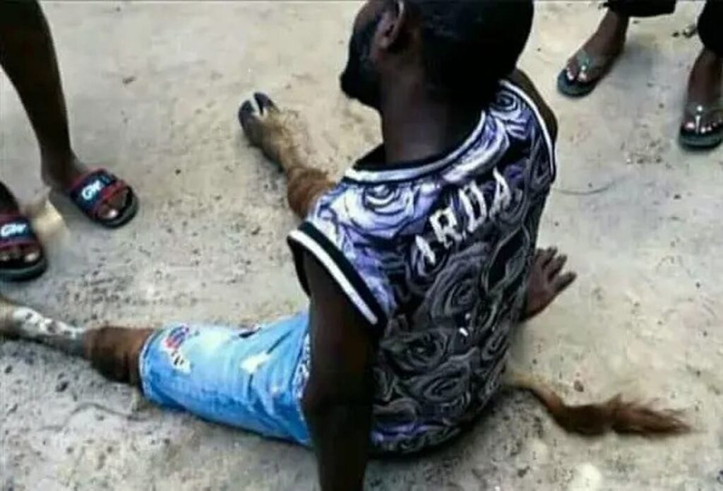 Man turns into a cow after sleeping with a married woman – WATCH