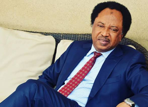 Nigerian Senator Shehu Sani says ‘It’s immoral for human being to sleep with a Dog,They deserve serious punishment’ –