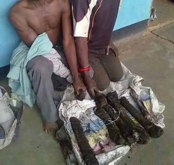 Two Arrested For Possessing Human Tissues Suspected Of Dead Person With Albinism In Mchinji