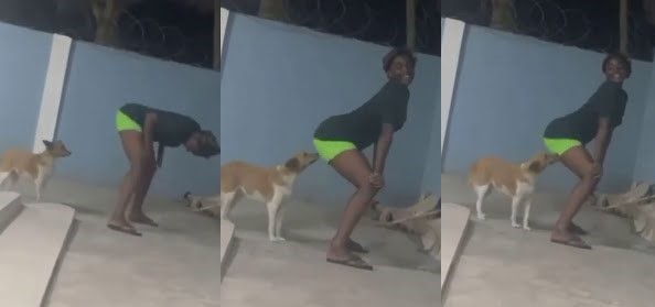 Watch|| Lady Spotted Tw3rk!ing In The Face Of A Dog Which Almost Bit Her