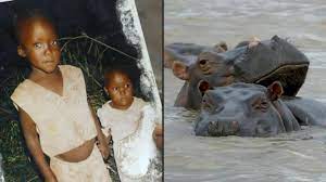 DRC|| Humans and hippos, learning to live in peace