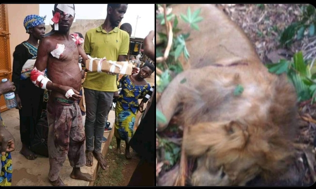 Meet Man Who Fought And Killed A Hungry Lion That Invaded His Home, Netizens Ate It