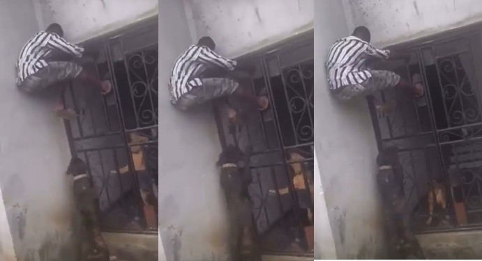 Watch Drama As Young Man Discovers His ‘Spider-Man’ Ability As Vicious Dogs Try To Maule Him