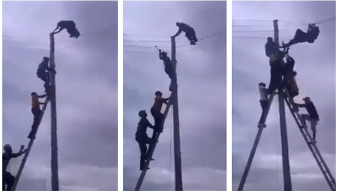 Watch drama as suspected thief hangs on high tension wire and refuses to come down