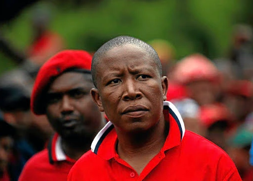Controversial South African Politician Julius Malema Made Serious Allegations Against President Cyril Ramaphosa; Look What He Said