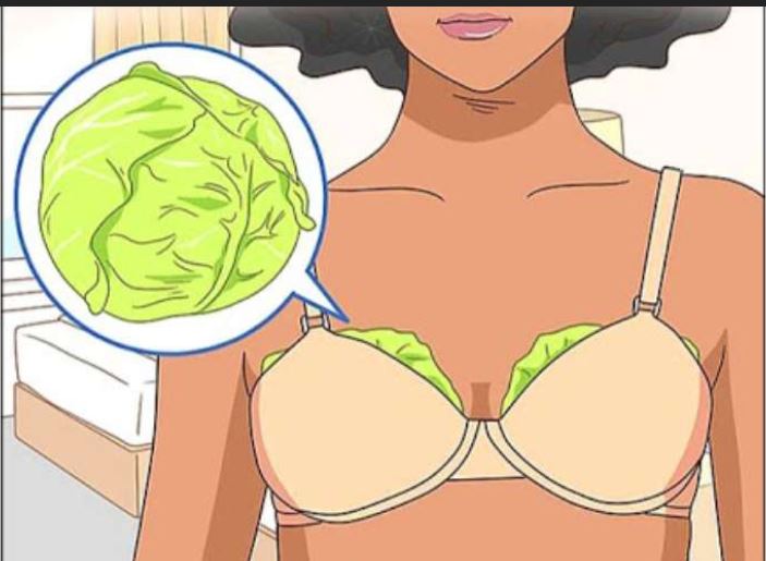 Ladies Wrap Your Breasts In Cabbage Leaves And Wait For 1 Hour, The Results Will Amaze You