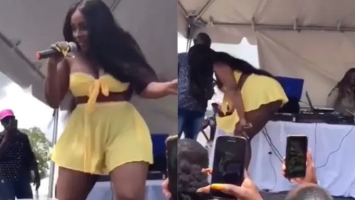 Watch|| South African Pantless dancer, pulls off her underwear on stage to give her fans a free show