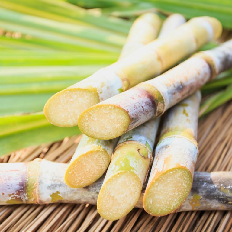 Say Goodbye To These Diseases By Eating Sugarcane Regularly