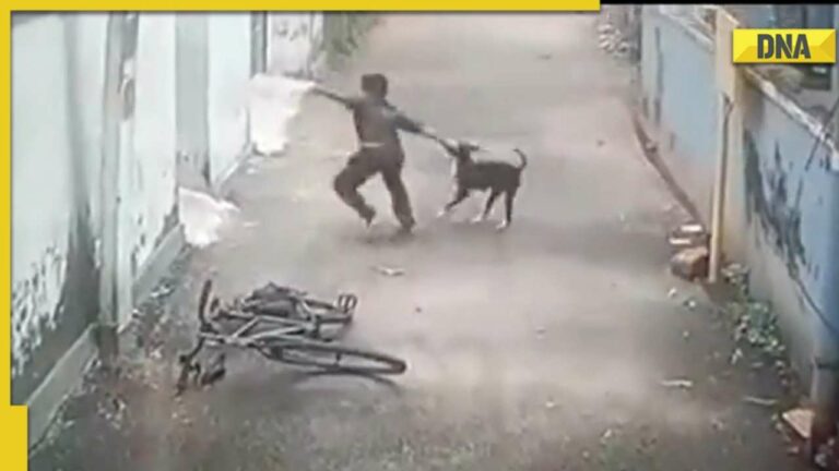 WATCH|| Shocking Video Of Stray Dog Brutally Attacks 12-Year-Old Boy in India