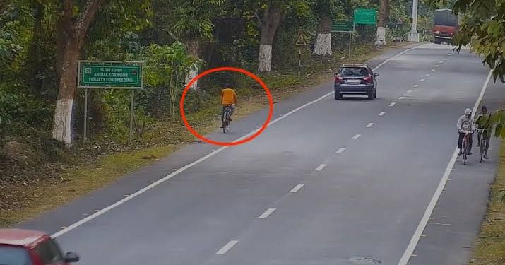Watch shocking moment a leopard attacked a man on a busy road