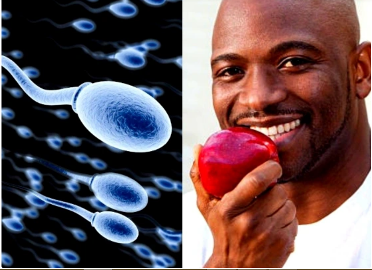 Everyday Habits That Help Your Body To Produce More Sperms No Man Should Ignore