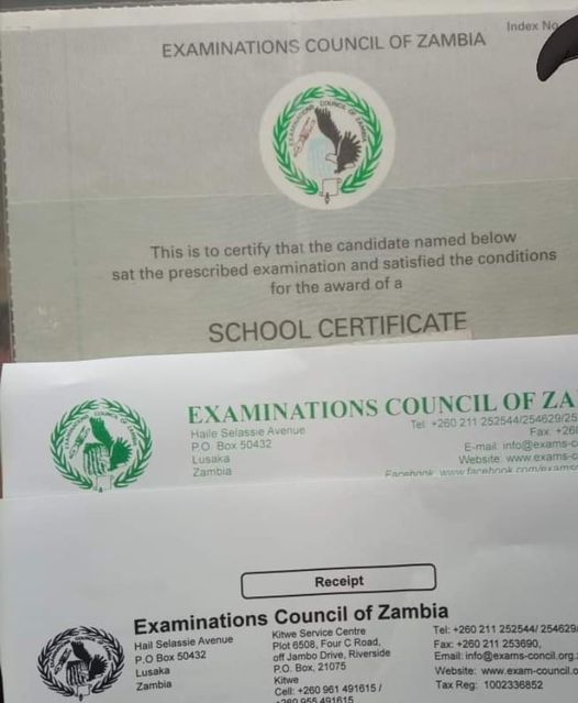 Zambian govt dancer nabbed for faking his qualifications