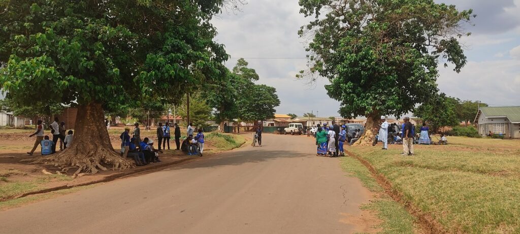 Mutharika to visit his step son Tadikira at Maula Prison