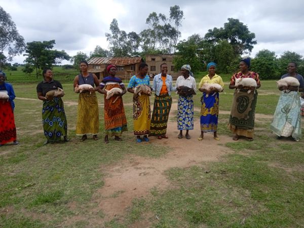 Smallholder Farmers fighting against economic challenges in Dedza