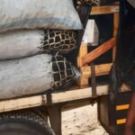 Three Forest Workers Injured While Seizing Charcoal at Fumbati in Ntchisi